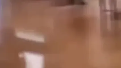 اولین تصاویر سرقت از موزه لوور