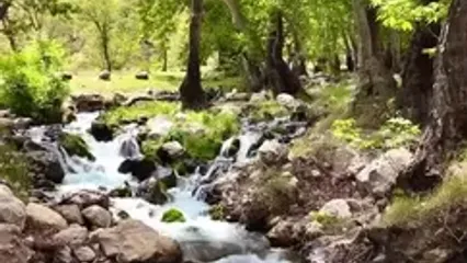 فیلم آبشار دیدنی وارک در روستای وارک خرم‌آباد