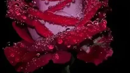 فال و طالع بینی 27 مهر