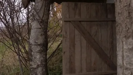 غذای روستایی در آذربایجان؛ پخت کیک و شیرینی با نارنگی