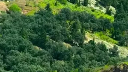 فیلم طبیعت دیدنی جاده زیبای رودبار به رشت