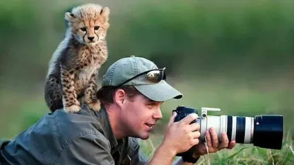 وقتی عکاسان با حیات وحش شوخی می‌کنند!