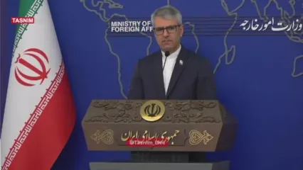 وضعیت مهدیه اسفندیاری در فرانسه از زبان سخنگوی وزارت خارجه