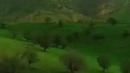 طبیعت سر سبز و زنده خوزستان