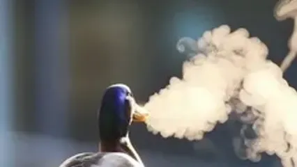 تبدیل یک عکس خاص به ویدئو با هوش مصنوعی