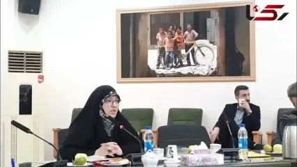 انتقاد رئیس شورای فرهنگی به گفتمان جهانی هویت جنسیتی کودکان: «امروز می‌گوید دخترم، فردا می‌گوید درخت یا سگم!»