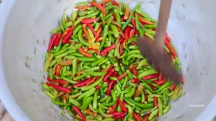 غذای روستایی در هند؛ پخت خورشت با ماهی کپور، خیار و سیب زمینی در روستا