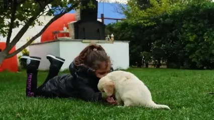 دستور پخت دونر مرغ سنتی؛ غذای محلی خوشمزه آذربایجان