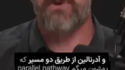 چرا همیشه احساس خستگی می‌کنیم؟