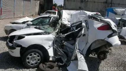 ویدئو عجیبی که از یک پژو 206 در شیراز شکار شد