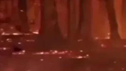 آتش دست بردار جنگل‌های هیرکانی نیست