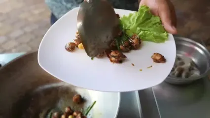 غذای خیابانی در کامبوج؛ قورباغه کبابی و صدف سرخ شده در پنوم پن