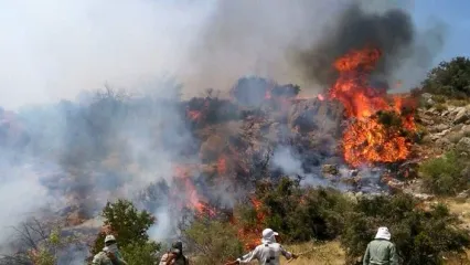 عامل آتش‌سوزی جنگل‌های هیرکانی پیدا شد!