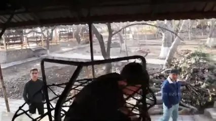 غذای خیابانی در ازبکستان؛ کباب کردن 20 مرغ کامل در تنور زیر زمینی در تاشکند