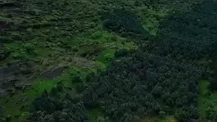 فیلم نمای هوایی خیره‌کننده از مخمل‌کوه خرم‌آباد