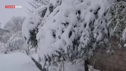 بارش شدید برف در روستای مائین‌بلاغ در آذربایجان غربی