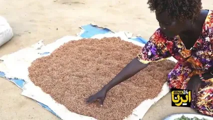 محاصره 177 هزار سودانی در شهری سوخته