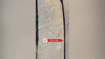 لحظه چاقو در آوردن راننده اتوبوس شهری در تهران برای مسافر