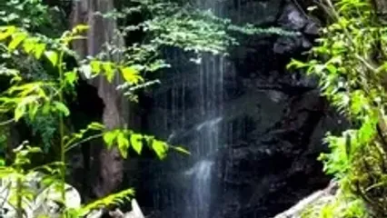 فیلم آبشار دیدنی در مسیر پیاده روی لنگرود به چالدشت