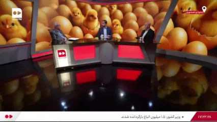 ببینید؛ مرغ‌ها در مرغداری‌های ایران دارند خودشان را می‌خورند