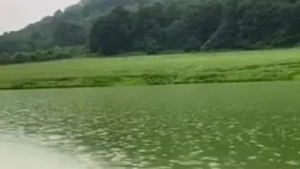 فیلم آب‌بندان شموشک علیا در گرگان