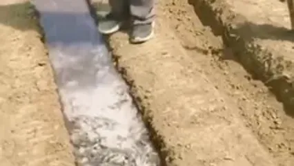 ترفند هوشمندانه کشاورزان چینی برای آبیاری زمین‌هایشان