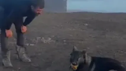 عکس| سفر در زمان؛ «یوزارسیف» در حال آموزش دادن یک سگ؛ سال 1402