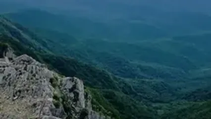 فیلم مرز بین جنگل‌های هیرکانی و فلات مرکزی