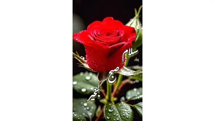 فال حافظ امروز 5 آذر