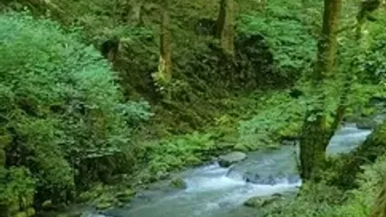 یلم زیبایی‌های منطقه اطاقور لنگرود