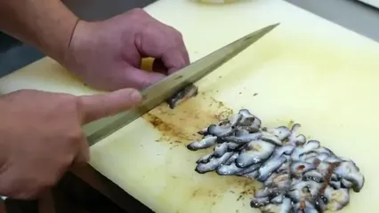 غذای خیابانی در ژاپن؛ تهیه دو نوع غذا با خیار دریایی قرمز در توکیو