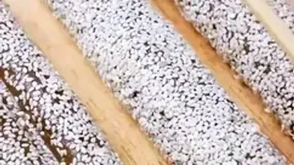 فیلم طرز تهیه دسر خرما شیک و خوشمزه خانگی