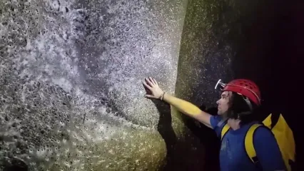 کشف بزرگترین کلونی عنکبوت‌ها با بیش از ۱۱۱ هزار تار