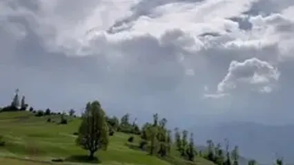 فیلم چشم‌انداز رویایی دشت بابونه سی دشت