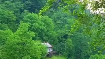 فیلم مناظر خیره‌کننده گالشکلا در سوادکوه