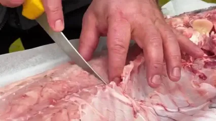 غذای روستایی در آذربایجان؛ کباب ماهی کپور نقره ای بزرگ با سبزی های معطر