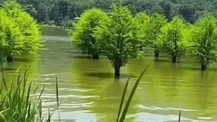 فیلم دریاچه الندان / نگین بکر مازندران