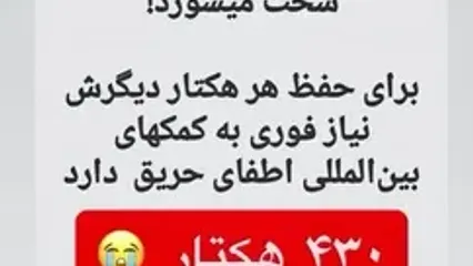 ببینید؛ استوری سلبریتی‌های مشهور درباره یک حادثه تلخ