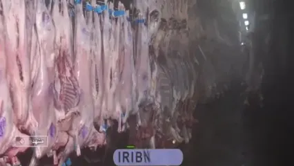 تناقض در بزرگترین قطب تولید گوشت قرمز کشور!