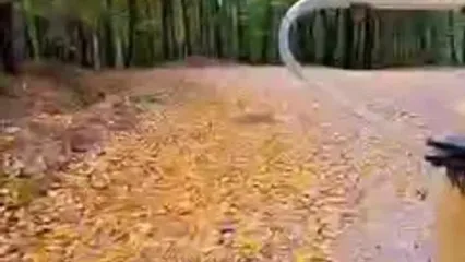 فال ابجد واقعی 12 آبان