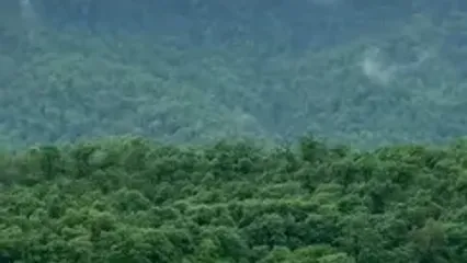 فیلم دریاچه سد زرین گل علی آباد کتول