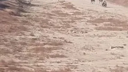 ببینید؛ تصاویر تلخ از تبدیل زاینده‌رود به پیست اسب‌سواری!