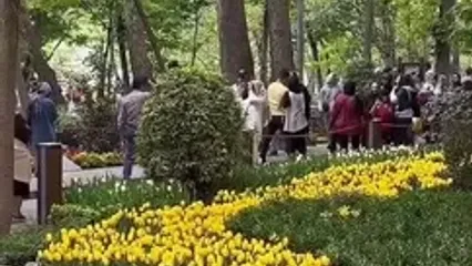 تفسیر فال حافظ امروز 18 آبان