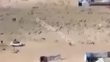 حماس کلیپی هوایی از قبرستان‌های دسته‌ جمعی در غزه منتشر کرده است