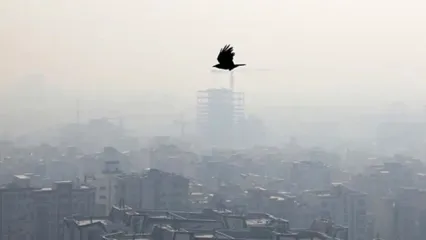 اگر بر اثر آلودگی هوا این علائم را داشتید به اورژانس مراجعه کنید