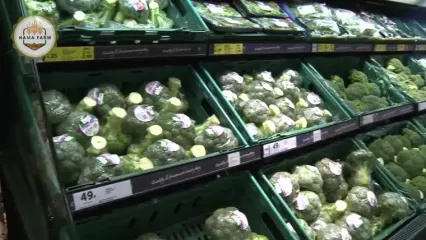 چگونه آمریکایی ها هزاران تن کلم بروکلی را برداشت و فرآوری می کنند؟