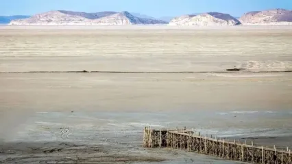 اظهارات جنجالی یک فعال محیط‌زیست که خبرساز شد