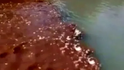 ورود مستقیم فاضلاب از چندین نقطه به رودخانه دز / این آب، منبع شرب مردم جنوب خوزستان و آبیاری صیفی جات دزفول است !