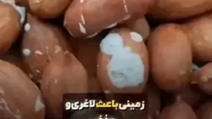 تاثیرات جالب بادام بر روی بدن!