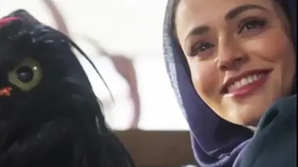 گربه کارناوال، از سوگل خلیق درخواست غلامی کرد!